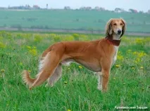 Класове ОБУЧЕНИЕ каква