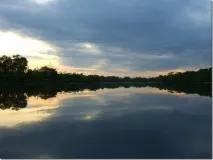 Велика річка Амазонка річка