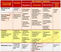 вузлова