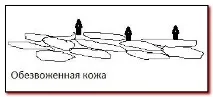 Зволоження шкіри обличчя, Секрети молодості та краси краси