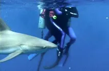 какво заснети