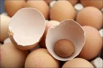 10 незвичайних та дивних професій професій