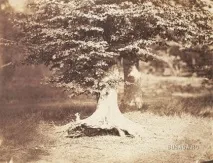 10 найдорожчих фотографій у світі вартість