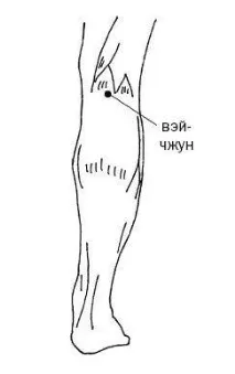 лечебни основни