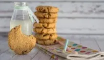 пластівців