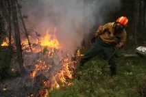 Безпілотники захистять челябінські ліси від чорних лісорубів - українська газета захистять