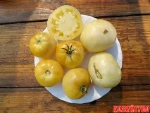 Білий, за смаком ніжний білий
