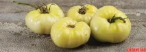 Білий, за смаком ніжний ніжний