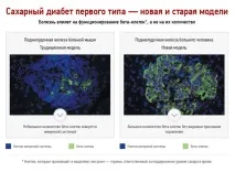 Чи можливе в майбутньому повне лікування цукрового діабету першого типу? лікування