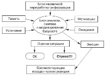 1.2.2. Особливості психологічного стресу психологічного