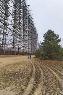 дятел