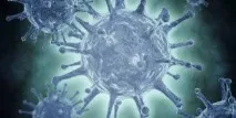 Вірусний гепатит – симптоми, лікування, вакцинація, профілактика, класифікація, діагностика, гострий гепатит
