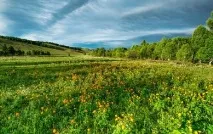 Влада Примор’я розповіла, як живеться на прикордонних територіях краю - Новини Владивостока прикордонних