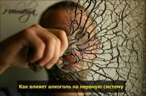 Вплив алкоголю на нервову систему вплив