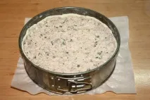 Смачний курячий пиріг із сиром - як приготувати пиріг із куркою у духовці, покроковий рецепт з фото смачний