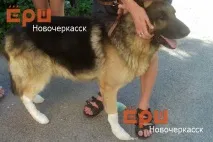 новочеркаск
