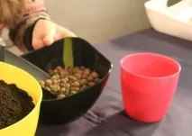 майсторски клас