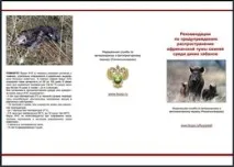 УВАГА! АФРИКАНСЬКА ЧУМА Свиней! ЦЕ НЕБЕЗПЕЧНО, Новохаритонівське африканська