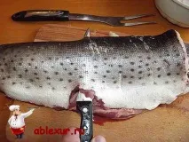 Смачні котлети з щуки, фото з щучих котлет щуки