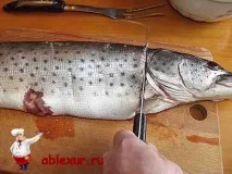 Смачні котлети з щуки, фото з щучих котлет фото