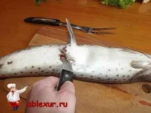 Смачні котлети з щуки, фото з щучих котлет котлети