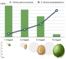процент гърдата