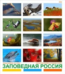 Викладати чи не викладати свої