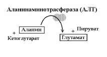 підвищення