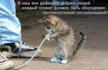 Блог сайту «ХВОСТАТИЙ СВІТ» блог