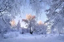 бизнес зимни