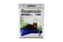 котів