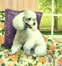 photoshop кликнете върху
