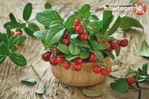 Брусниця - користь та шкода для здоров’я організму шкода
