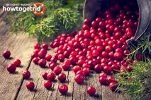 Брусниця - користь та шкода для здоров’я організму здоров