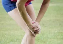 цялото мускули