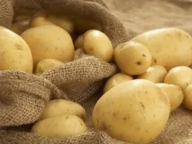 кисті