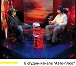 нішеві