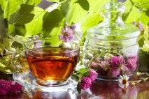 Чай з конюшини, користь та шкода, застосування в медицині користь