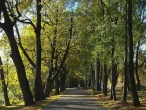 Центральний парк культури та відпочинку імені С парк
