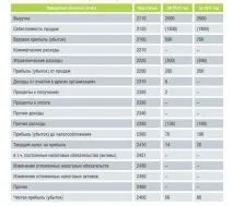 Бухгалтерська звітність малого підприємства - суб’єктів, фінансова, бланк, спрощена у 2019 році підприємства
