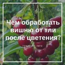 лекуваме