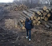 схеми