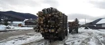 провокує