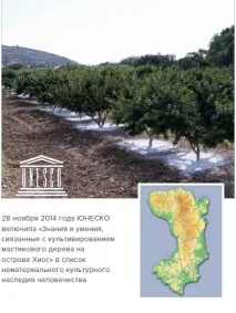 мастика мастика