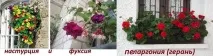 балкона какви