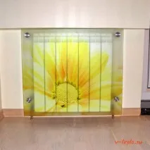 декоративні