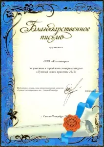 акселератор уникален