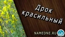 дрокфарбувальні