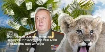 Це вам не про Дімона розслідування навіть