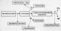 Вроджений дефект ферментних систем - Можливі порушення метаболізму - Порушення обміну речовин ферментних